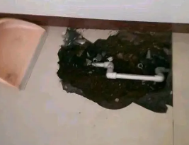 曾都卫生间测漏水多少钱